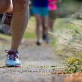 the-legs-of-women-running-or-racing-on-a-trail-2022-11-02-16-39-27-utc-web